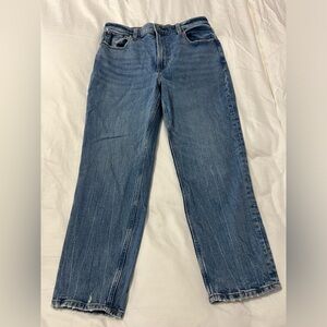 Abercrombie The Mom High Rise Size 6/28 (short)